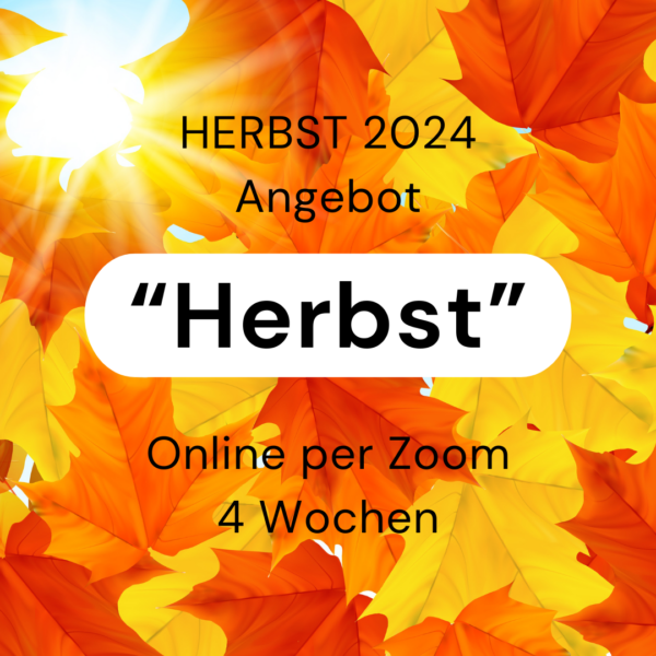 Herbstangebot2024